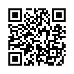 653P9603I3T QRCode