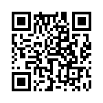 653P9606C2T QRCode