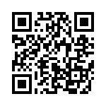 653V13306A2T QRCode