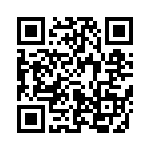 653V16113I3T QRCode