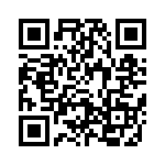 691304130006 QRCode