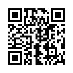 691311700103 QRCode