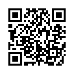 741X163360JP QRCode