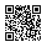 766161560G QRCode