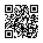 767161272GP QRCode