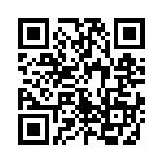 767161331GP QRCode