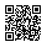 767163202GP QRCode