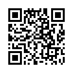 767163273GP QRCode