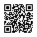 80-190228-12P QRCode