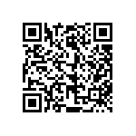 813-22-022-30-001101 QRCode