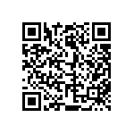 813-22-046-30-001101 QRCode