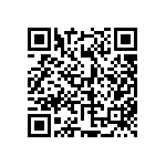 813-SS-004-10-474101 QRCode