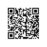 813-SS-016-30-004101 QRCode