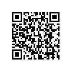 851-87-039-20-001101 QRCode