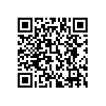 853-87-062-30-002101 QRCode