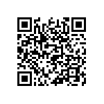 858-22-002-30-011101 QRCode