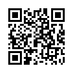 89891-317HLF QRCode