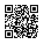 9-1393813-1 QRCode