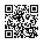 913A704B QRCode