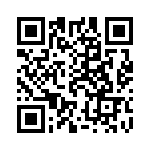 91615-313LF QRCode