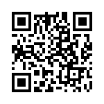 91900-21111 QRCode