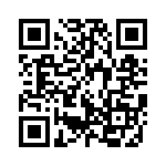 91910-21311LF QRCode