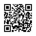 91911-21315LF QRCode