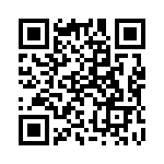 91J300 QRCode