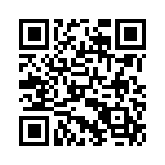 924217-28-06-I QRCode