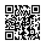 929500-01-17 QRCode