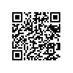 929500-01-28-RK QRCode