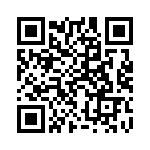 930507X740AN QRCode