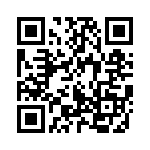 95000-107TRLF QRCode