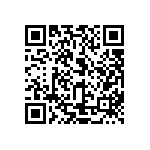 9510-L213-P1F1-Z0R2B9 QRCode