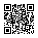 95290-405LF QRCode