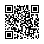 95293-101B05LF QRCode