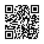 95C06A3T QRCode