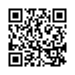 95C06D4GWT QRCode