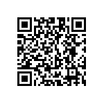 961105-6300-AR-PT QRCode