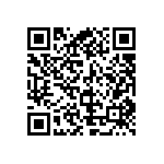 961210-6300-AR-PT QRCode