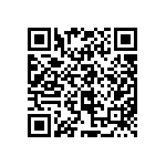 97-3106B22-19S-417 QRCode