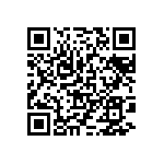 97-3106B24-11PZ-417 QRCode