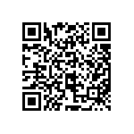 97-3107A22-19S-417 QRCode