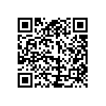 971-009-010R011 QRCode