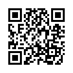 99017 QRCode