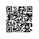 9C12063A4991FKHFT QRCode