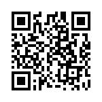 A20741303 QRCode