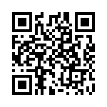 A38130204 QRCode