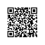 AT49F002NT-12TI QRCode