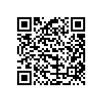 B32231D3335K000 QRCode